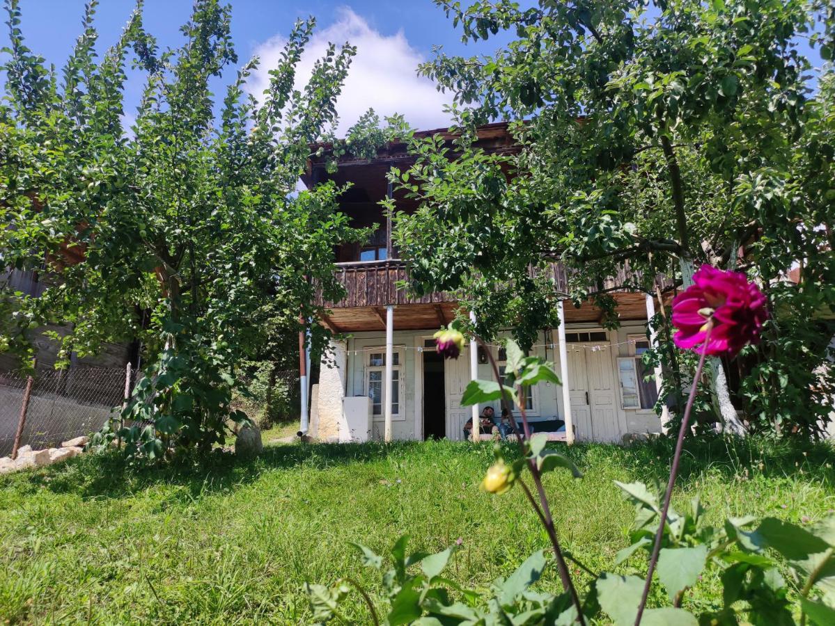 Racha Chogovadze'S Guest House Амбролаурі Екстер'єр фото